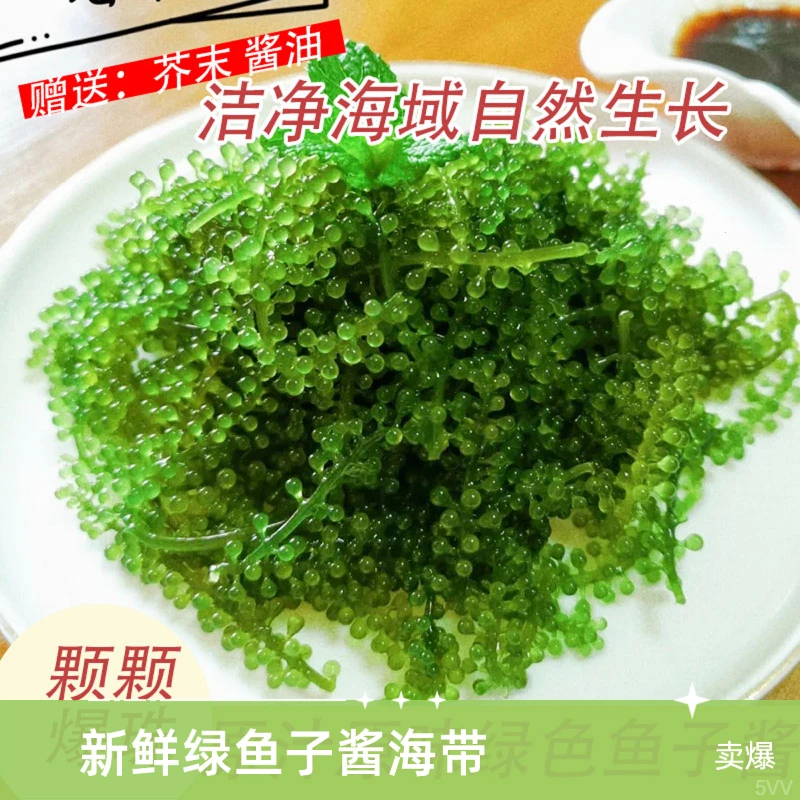 新鲜绿色鱼子酱爆珠海葡萄盐渍风味海带凉拌沙拉好吃D8