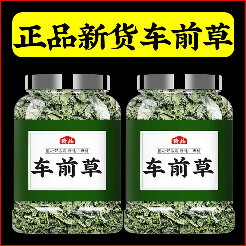 车前草的功效中药材干车钱草正品新鲜干货泡水泡茶非野生袋泡茶