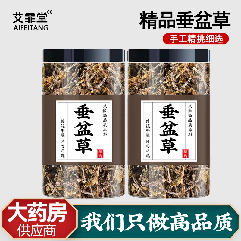 垂盆草中药材新鲜食用干货护正品肝泡水喝的功效非野生垂盆草茶