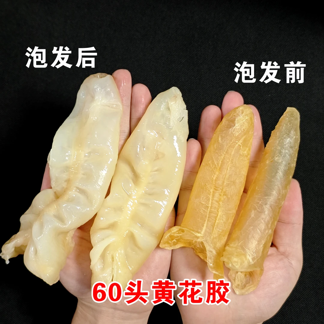 精选厚肉黄花胶筒60头滋补花胶鱼胶煲汤营养胶原Q弹爽口