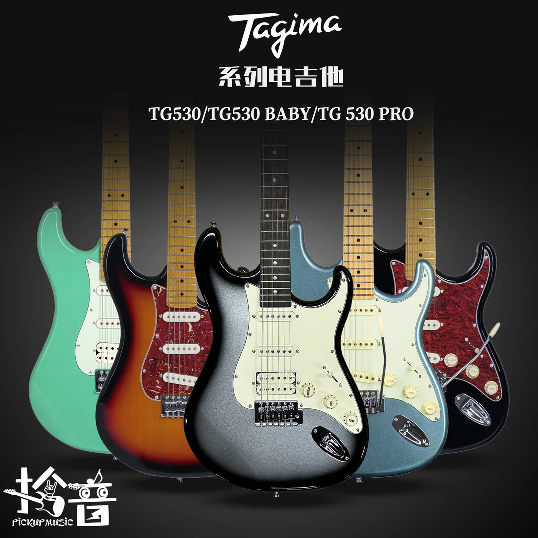 Tagima 塔吉玛TG510 530PRO 新手初学者DW成人儿童专业电吉他套装