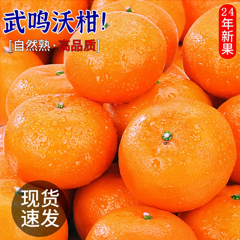 XD9正宗广西武鸣沃柑皮薄肉厚汁水多当季水果园新鲜现摘ZH