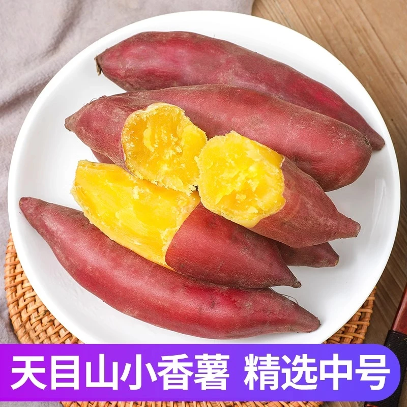 天目山小香薯3/5斤正宗板栗红薯新鲜农家自种小番薯地瓜蜜薯