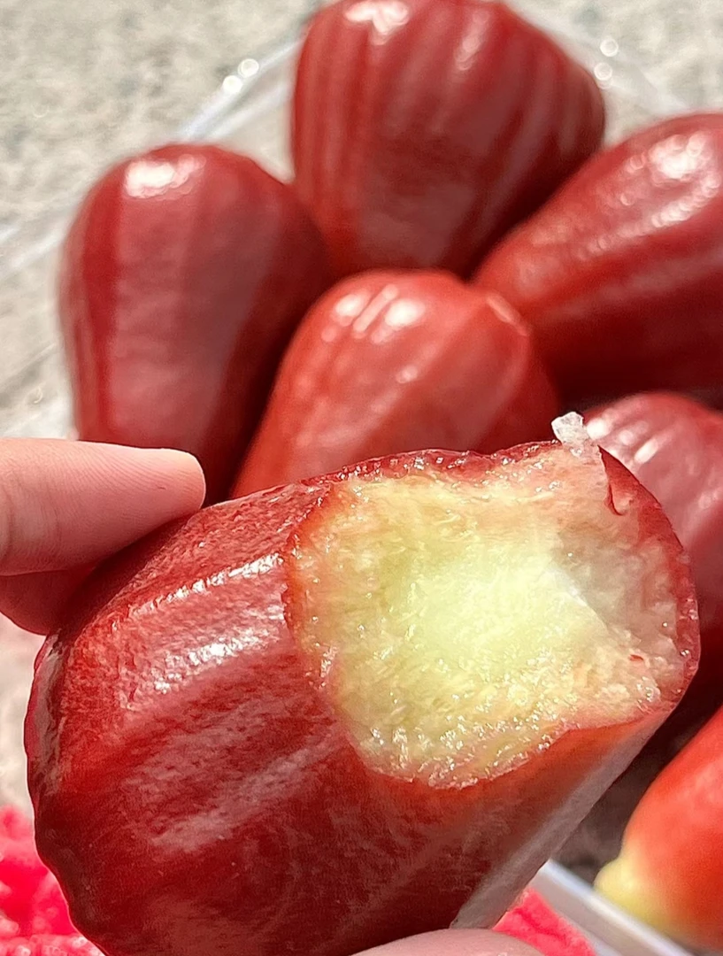 海南黑金刚莲雾当季水果孕妇水果脆甜多汁清甜爽口（深圳当日达）
