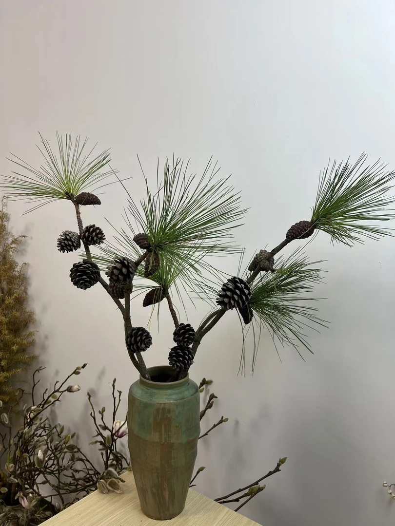 马尾松果枝（不带绿色松针）  云南产地发货