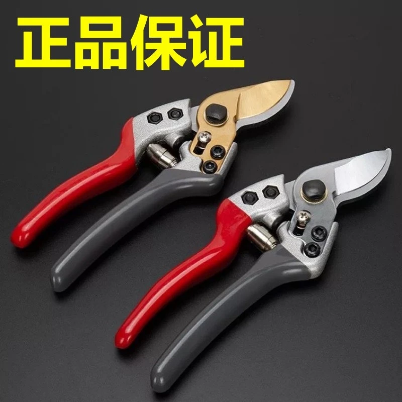 日本进口sk5钢果枝剪树枝剪刀果树修枝剪刀园艺剪刀园林剪粗枝剪