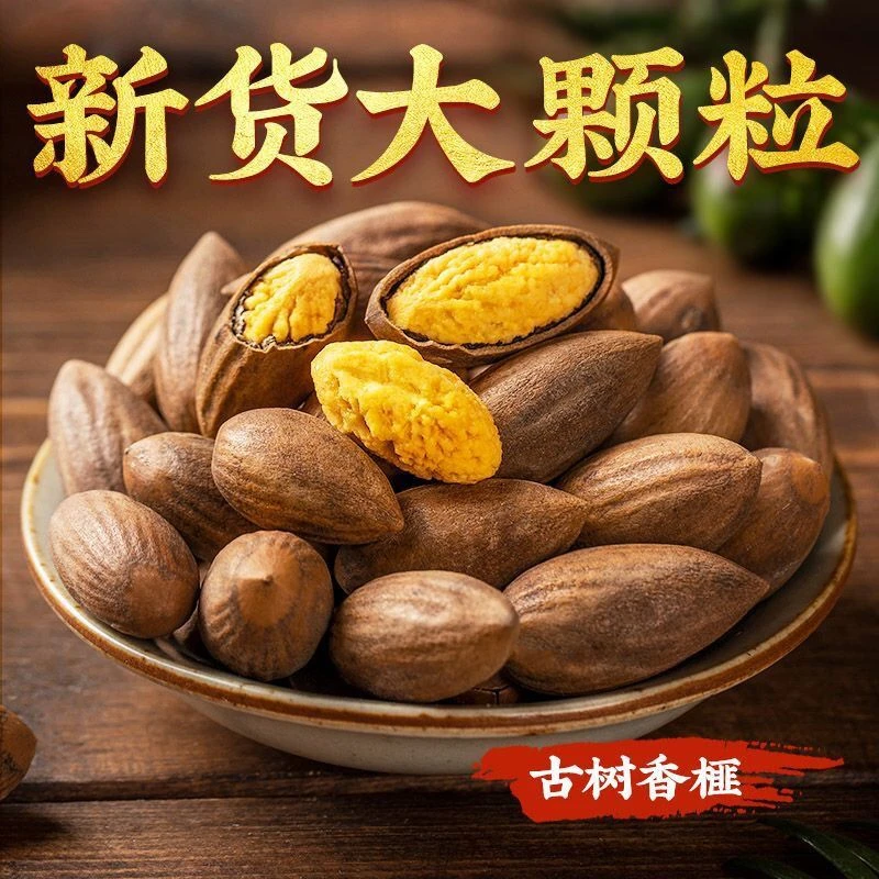 2023香榧子500g新货诸暨枫桥干果连罐250g香榧特级香榧坚果20g