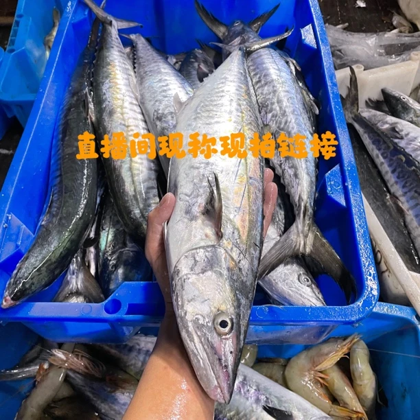 广东汕尾港现场指定鱼虾货