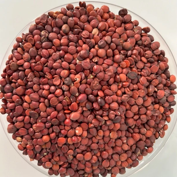 精选手工品质新货酸枣仁可搭配枸杞