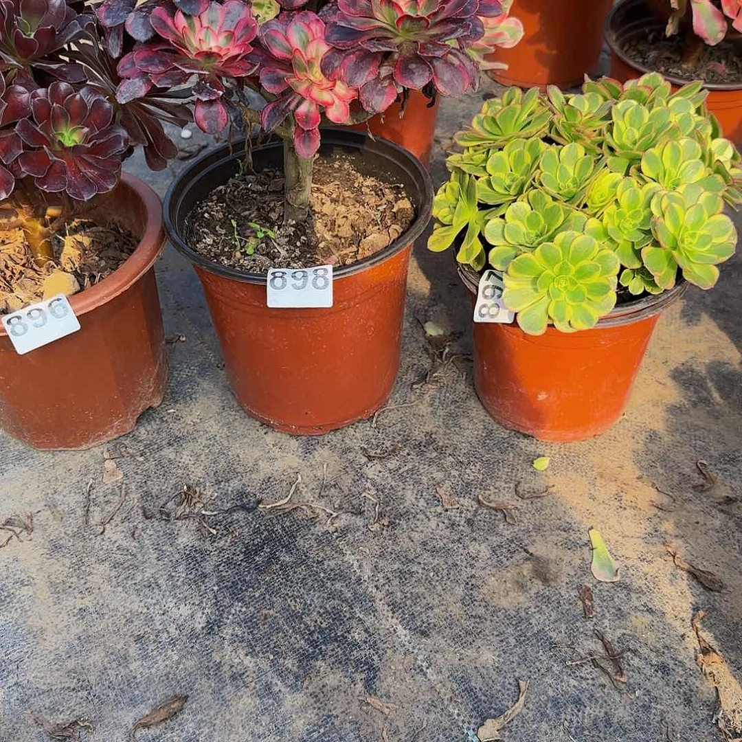 ?***i18名的三科896到8978898