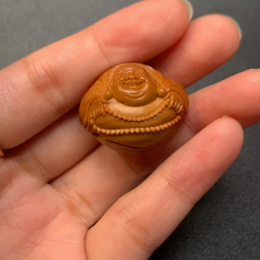 橄榄核单籽横弥勒