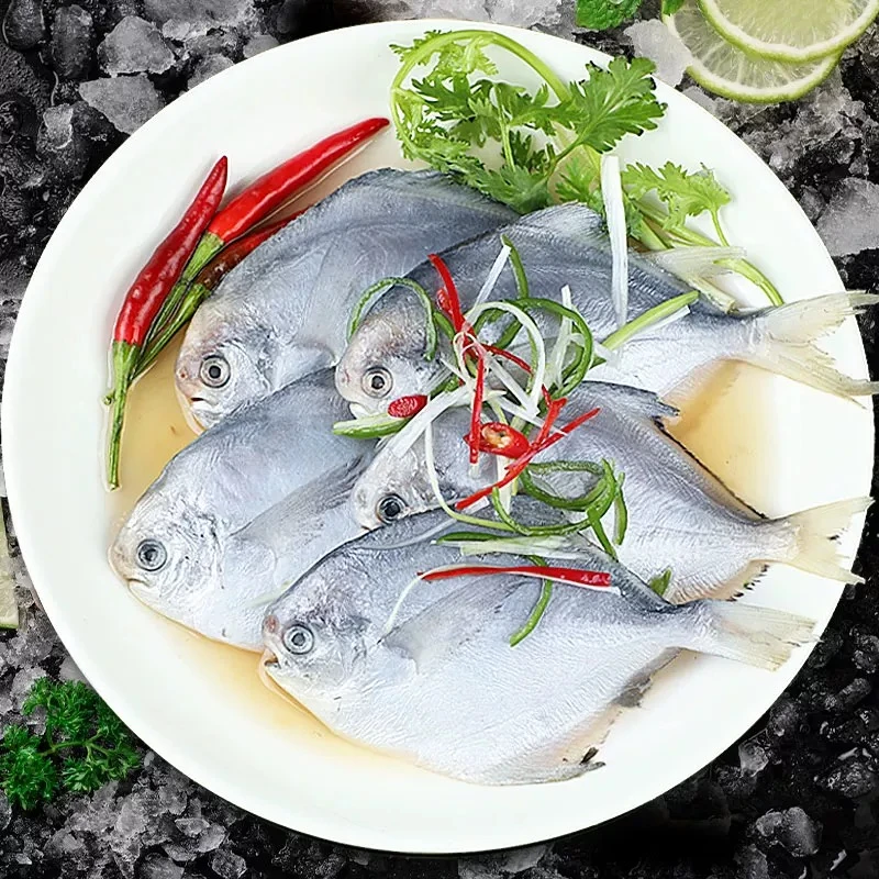 【青岛海域】银鲳鱼，鲜活速冻 6-7条/斤   三斤无冰净重 冷链包邮