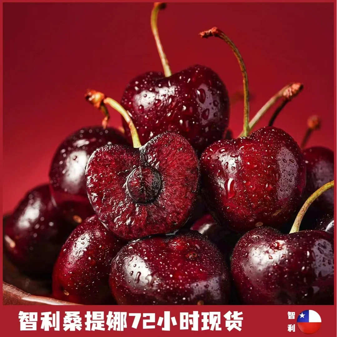 【桑提娜】智利空运桑提娜