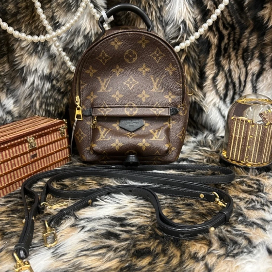 95新 LouisVuitton/路易威登 茉上/mini老花双肩包