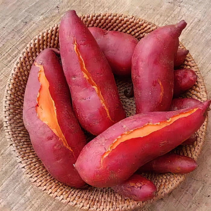 沙地西瓜红心蜜薯软糯香甜5斤包邮【周大侠农贸】直供