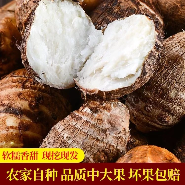 农家芋头新鲜毛芋头小香芋头口感细腻5斤包邮【周大侠农贸】