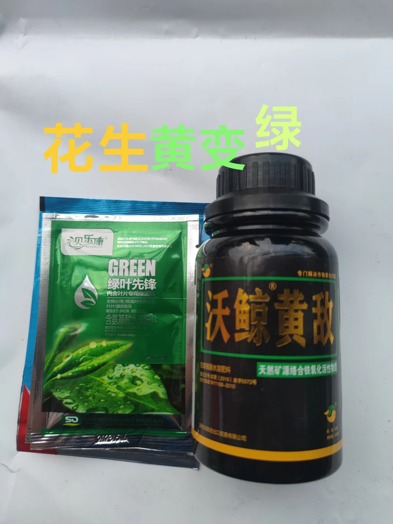 花生、大蒜黄叶变绿叶组合（550克一套）