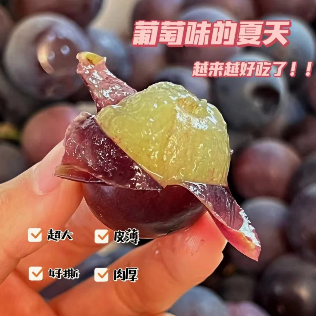 猫眼巨峰葡萄 巨甜可口 Q弹多汁 净重2/4斤  【只发河南省】