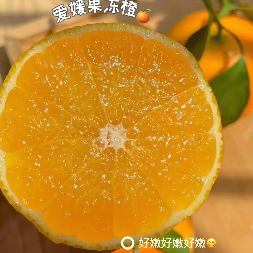 5 爱媛果冻橙  果肉细腻  粒粒爆汁净重5斤【只发河南省】