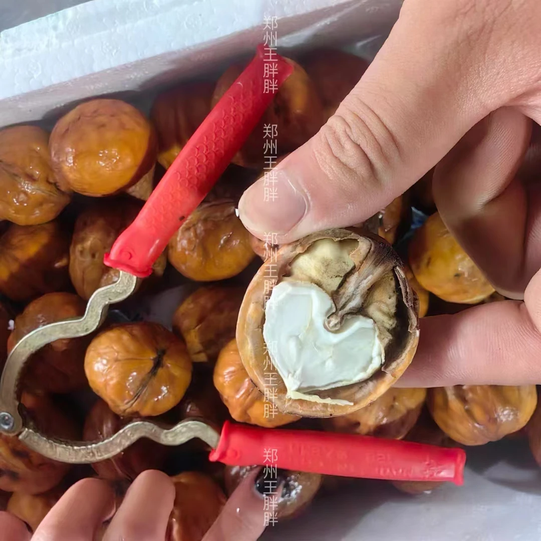 三支梅 185纸皮鲜核桃 清甜鲜嫩 净重2.5斤左右 【只发河南省】