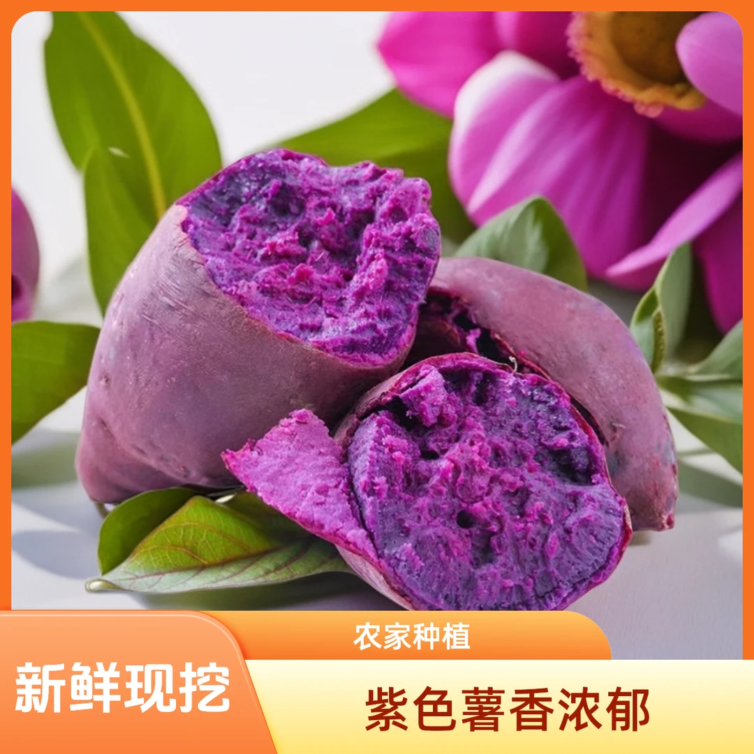 【2024年】湖北新鲜紫罗兰农家自种产地直发辅食粗粮农产品5斤