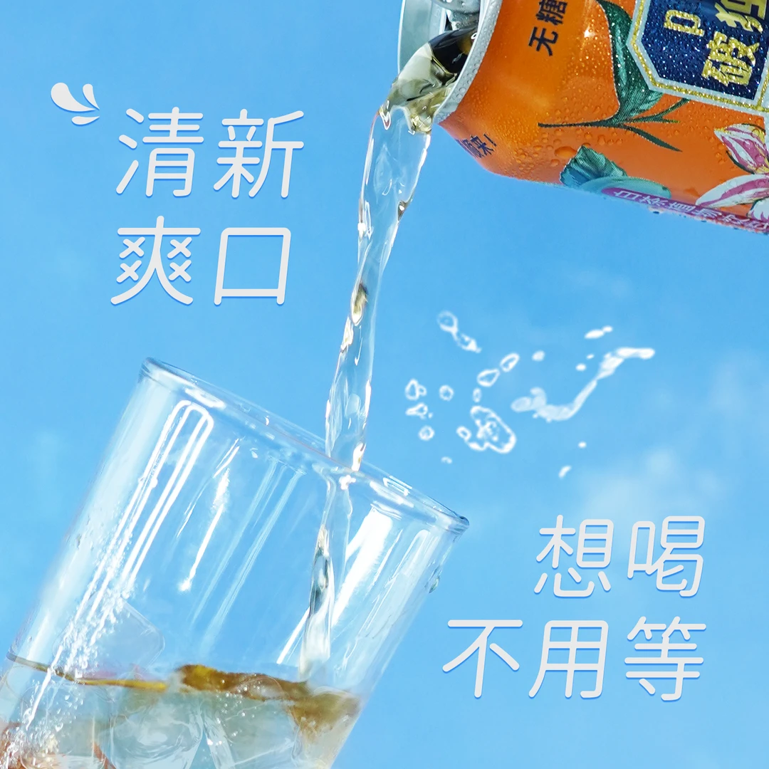 podu/破独【新人福利】破独白茶植物饮料310ML*8罐无糖饮料