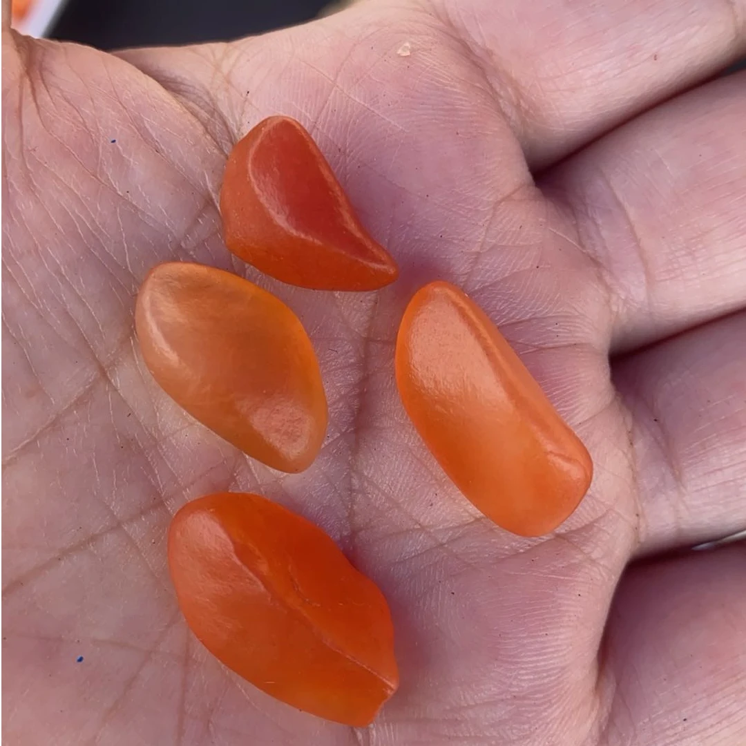 新疆彩石随机发3号链接