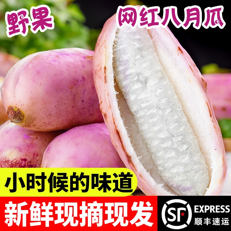 【顺丰包邮】八月瓜新鲜现摘现发八月炸野水果牛腰果预知子九月黄