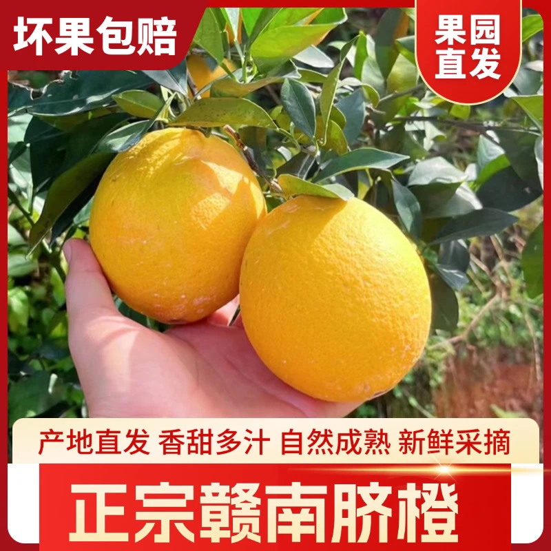 【产地直发】正宗江西赣南脐橙新鲜橙子现摘现发水果5斤/10斤/20斤