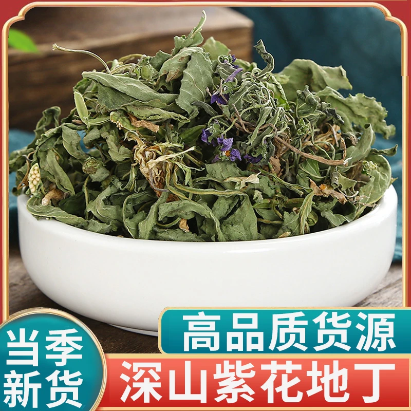紫花地丁的功效与作用新鲜犁头草箭头草地丁草茶原料正品中草药