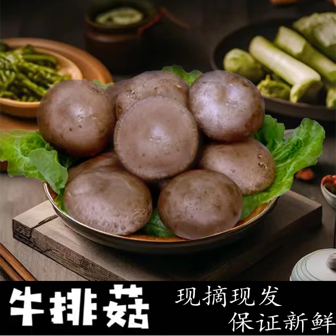甄选新鲜牛排菇洋松茸大褐菇小褐菇菌菇食用菌波多黎各菌巴西菇