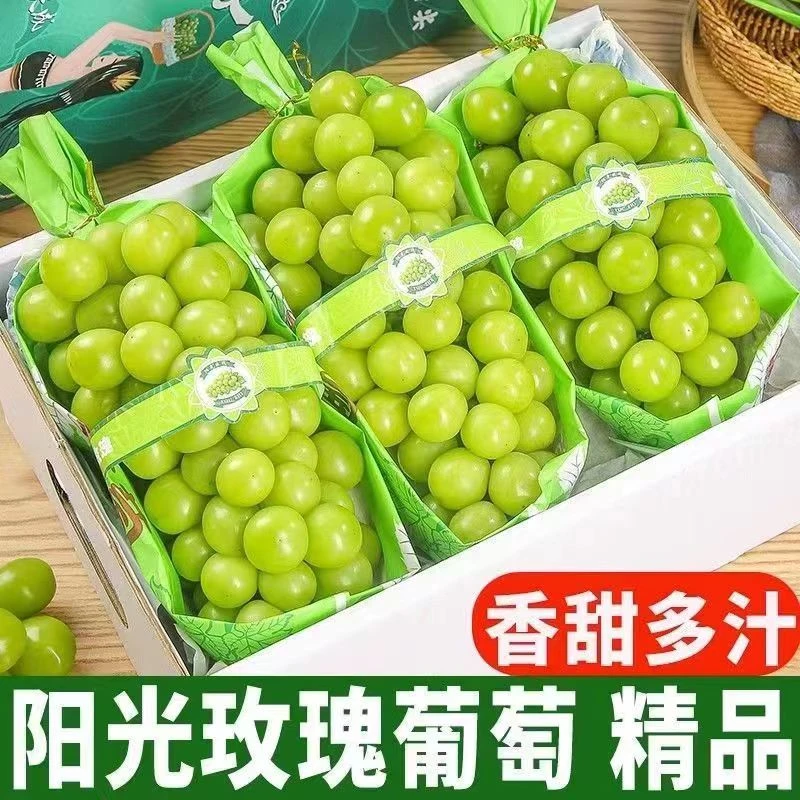 【顺丰发货】自家果园阳光玫瑰无籽青提包邮新鲜肉厚多汁采摘
