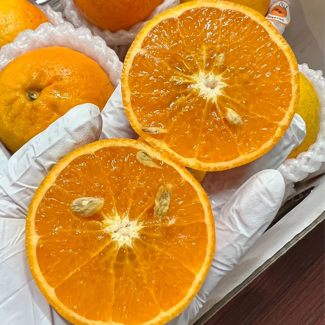 高原蜜柑 虎柑 甜 汁水多 口感好 4斤/8斤 深圳当日达