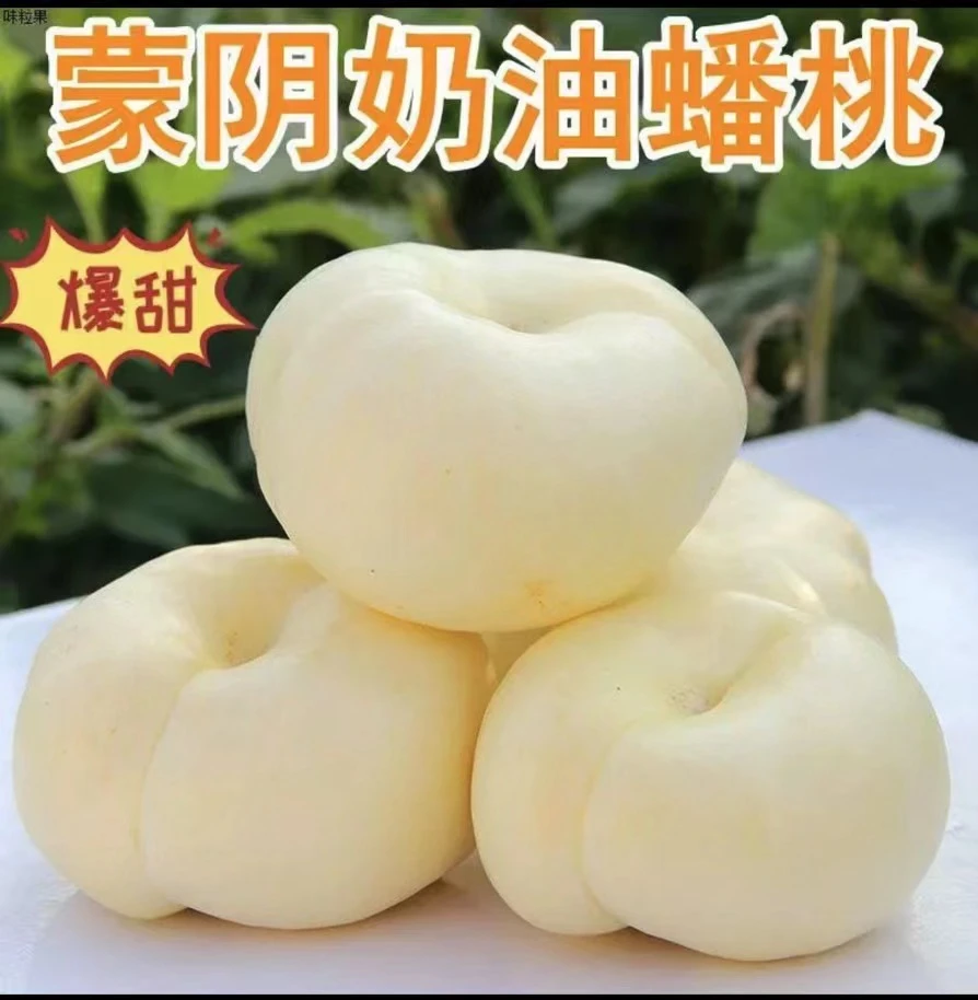 早奶油蟠桃稀有品种蒙阴产地直发白桃汽水味夏日尝鲜应季水果