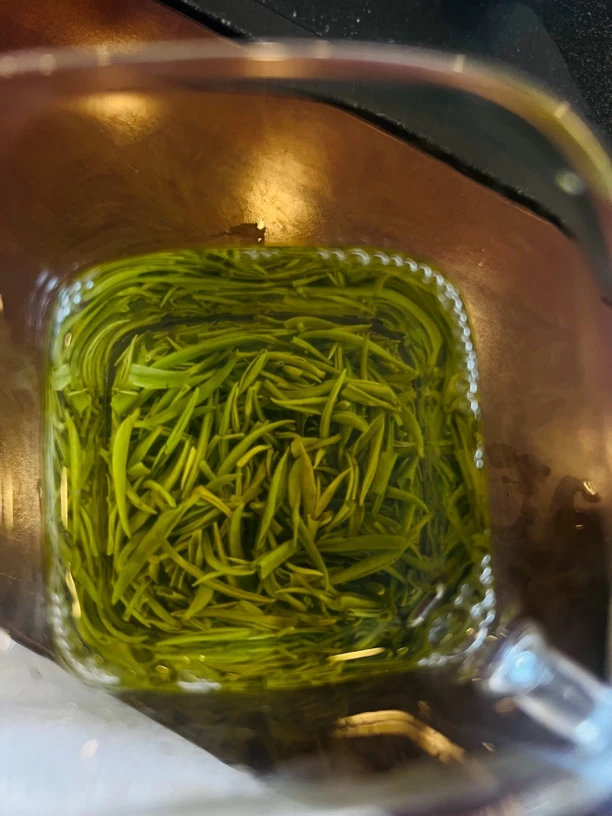 2024雨前茶信阳毛尖芽头正宗信阳产地