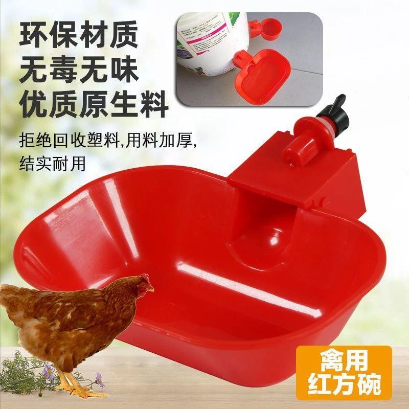 养殖鸡鸭鹅自动饮水碗 饮水器 鸽用自动饮水碗 鹌鹑饮水器 喝水碗