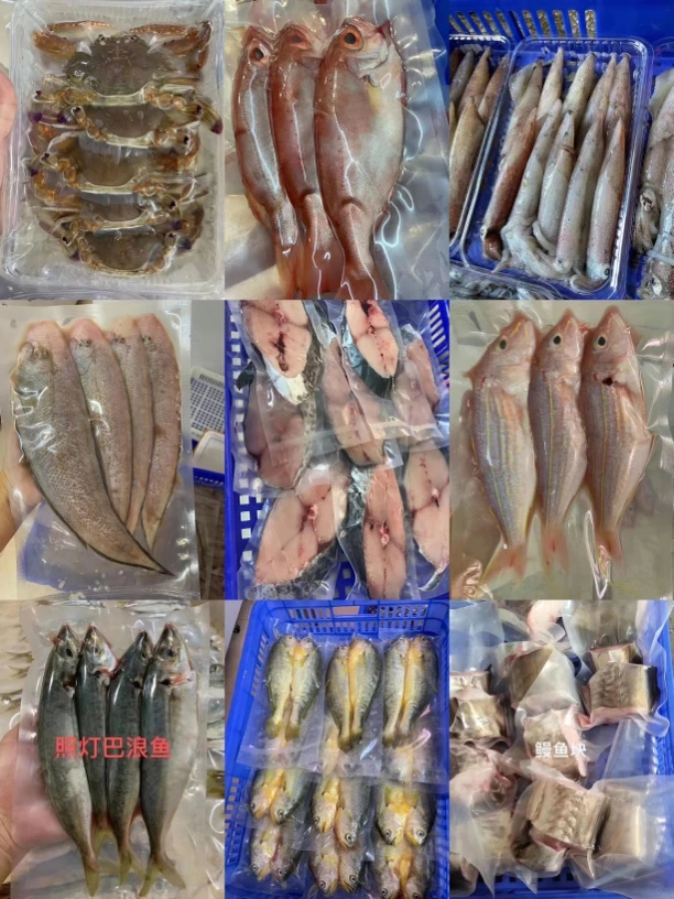 惠来神泉本港鱼货现场鱼