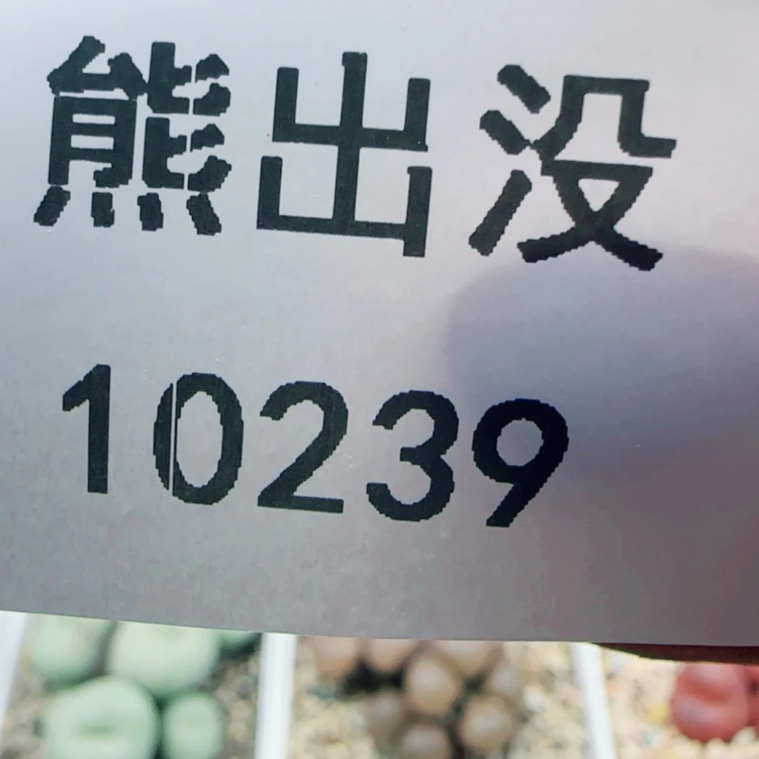 【闪购商品】真****警010239
