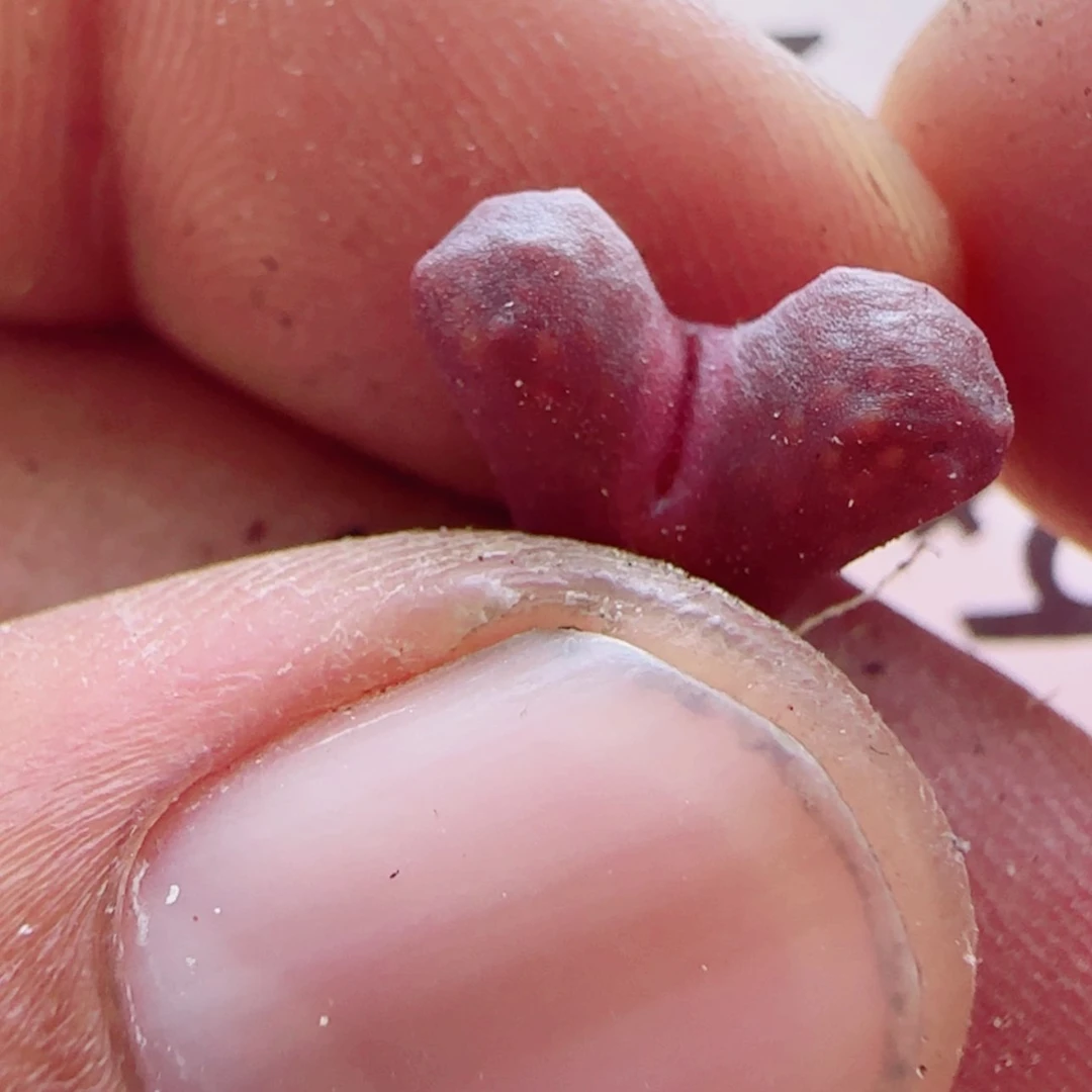 【闪购商品】13749