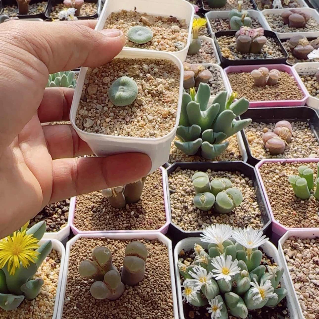 【闪购商品】°***°13707