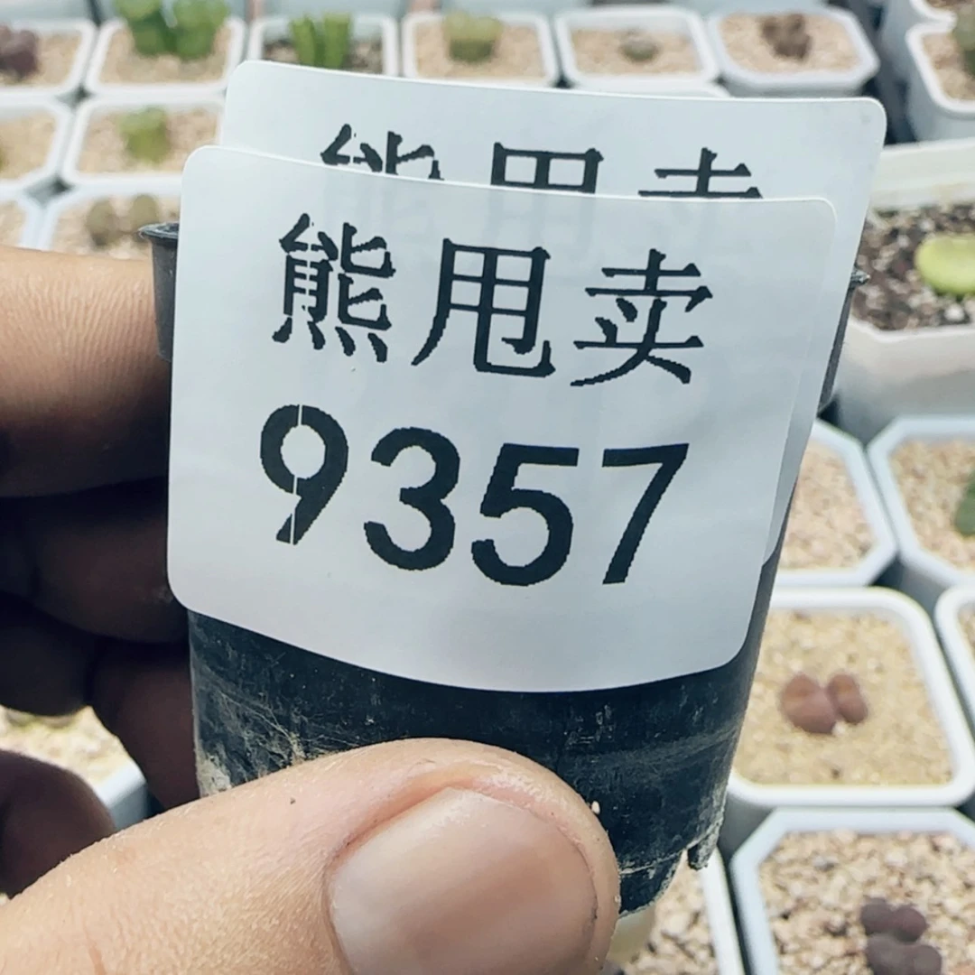 【闪购商品】四*9357