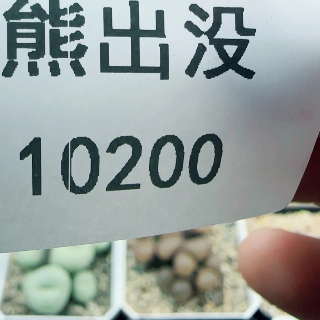 【闪购商品】?*10200