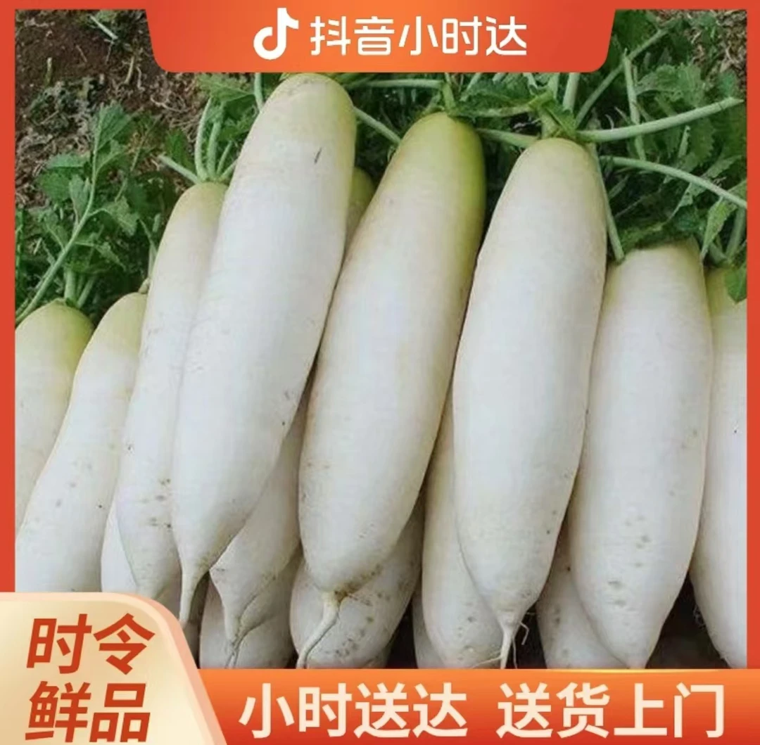 【耒阳同城闪送】白萝卜1根约650g/根