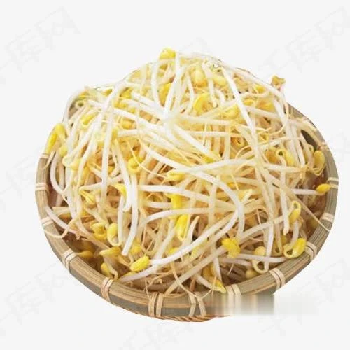 【爆】黄豆芽约250g