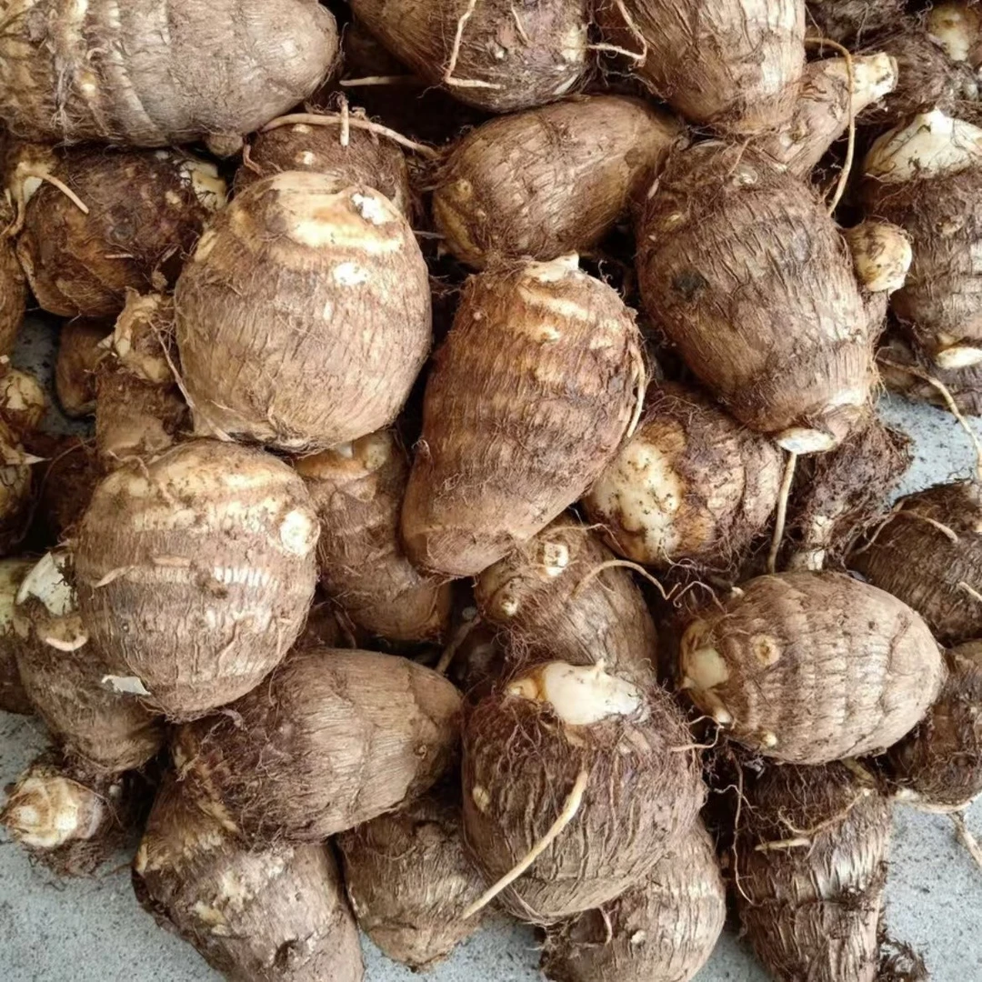 【耒阳同城闪送】本地毛芋仔约500g/份