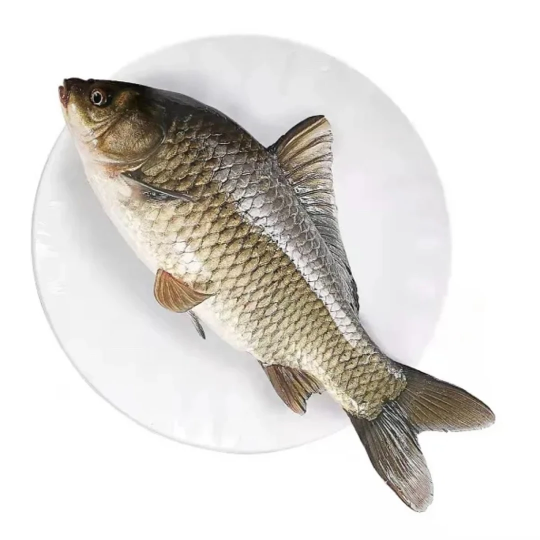 【耒阳同城闪送】鲜活鲫鱼（杀好处理）500g/份