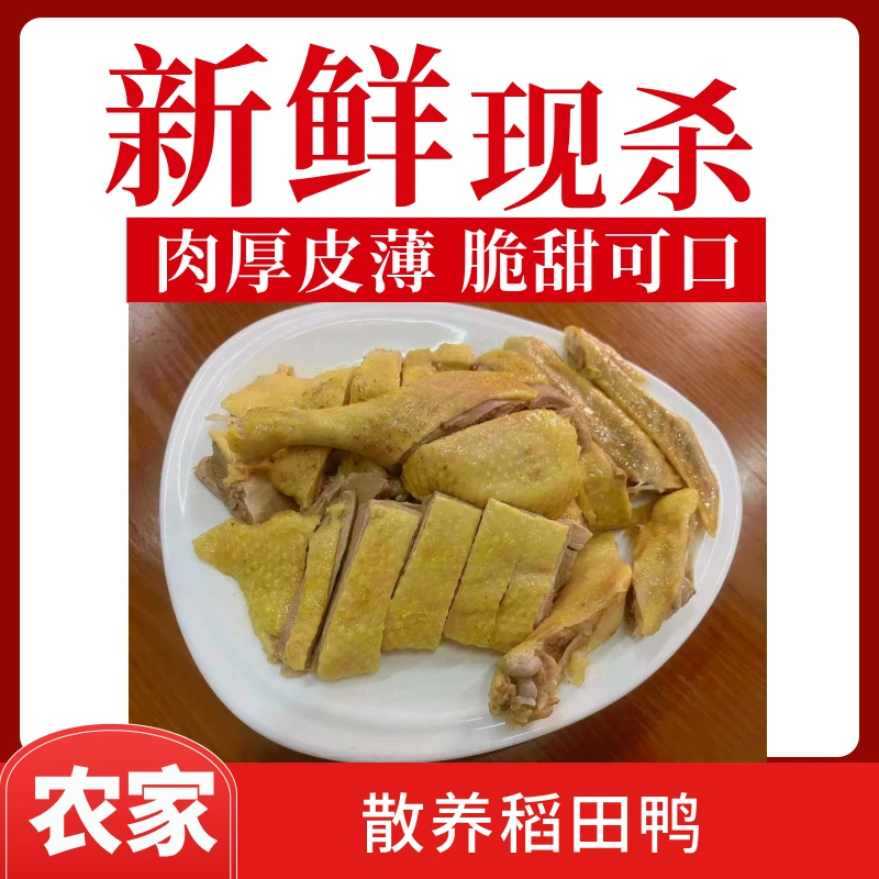 农家稻田鸭白切一只半边