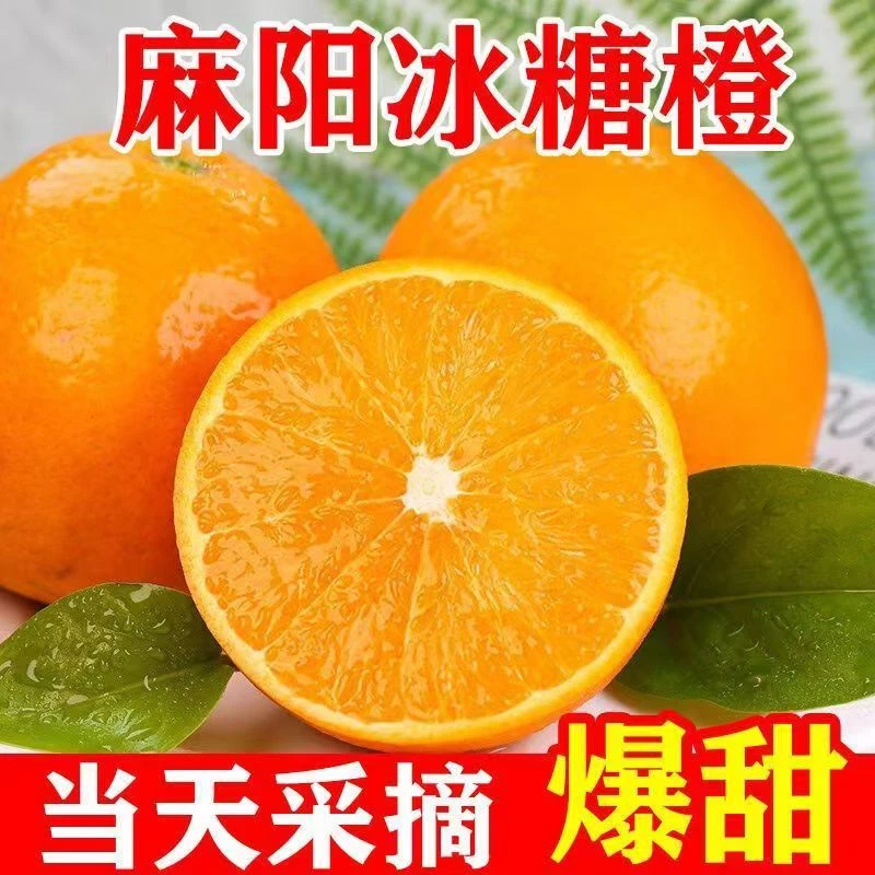 【爆甜】湖南麻阳冰糖橙净重5/9斤大果新鲜水果甜橙子果园整箱批发