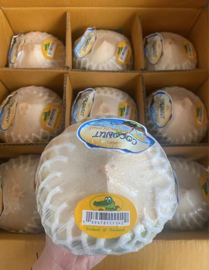 泰国进口鳄鱼牌香水椰青 一个约1000克