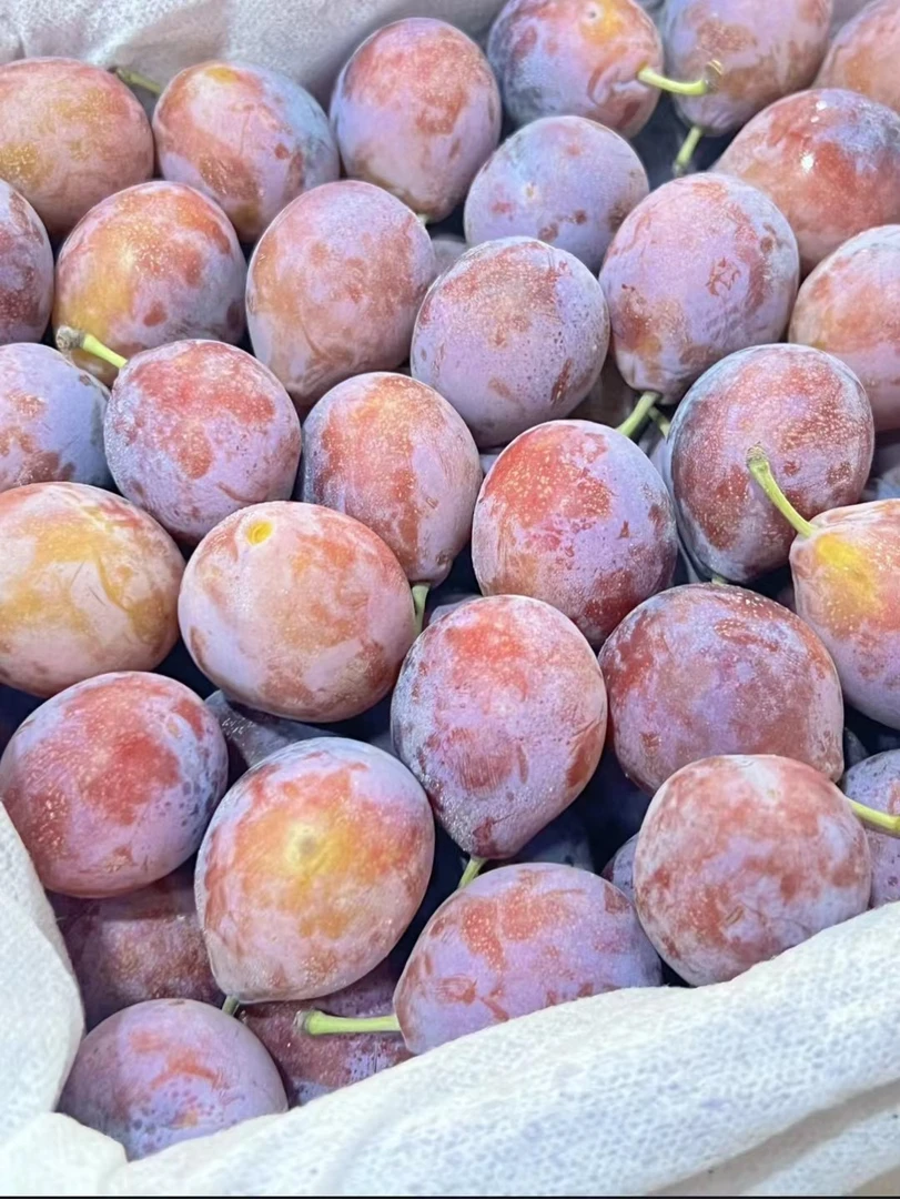 澳洲进口（大）果西梅约400克